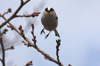 IMG_5875.jpg