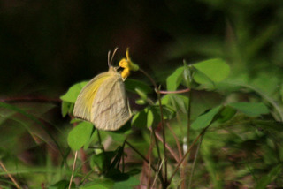 IMG_5903.jpg