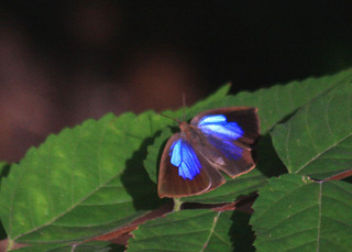IMG_5966.jpg
