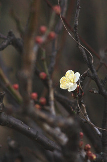 IMG_5990.jpg
