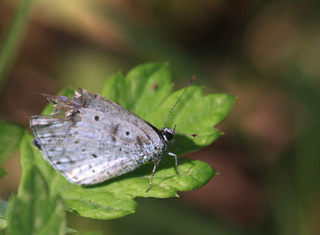 IMG_5993.jpg