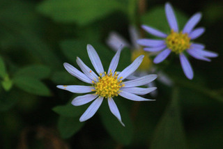 IMG_6082.jpg
