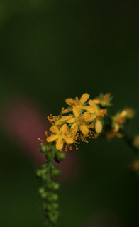 IMG_6216.jpg