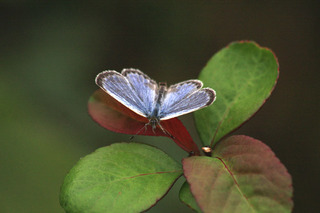 IMG_6313.jpg