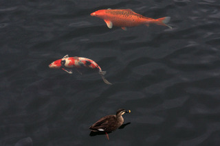 IMG_6333.jpg