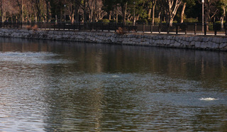 IMG_6392.jpg