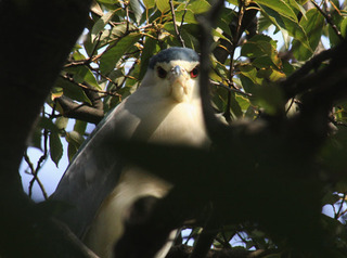 IMG_6408.jpg