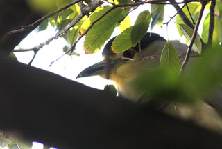 IMG_6421.jpg