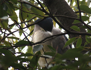 IMG_6600.jpg