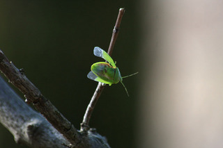 IMG_6657.jpg