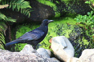 IMG_6777.jpg