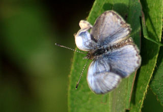 IMG_6787.jpg