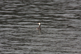 IMG_7167.jpg