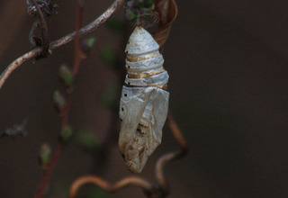 IMG_7198.jpg