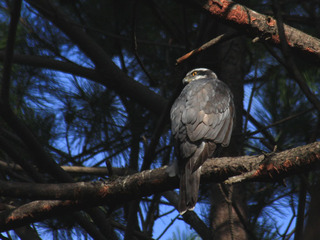 IMG_7290.jpg