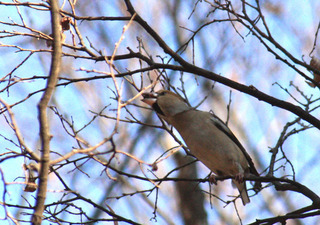 IMG_7321.jpg