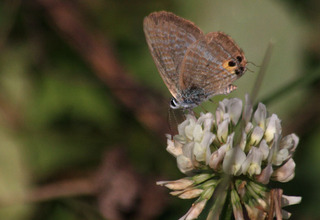 IMG_7326.jpg