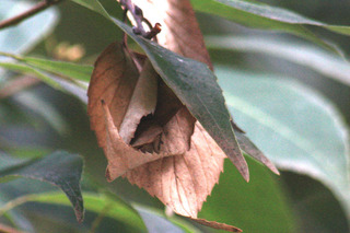 IMG_7465.jpg