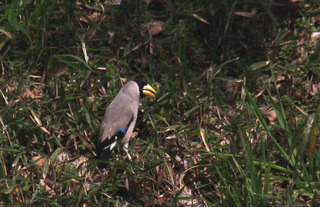 IMG_7512.jpg