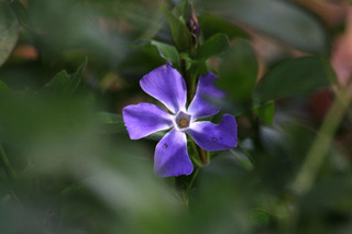 IMG_7548.jpg