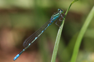 IMG_7578.jpg