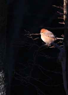 IMG_7662.jpg