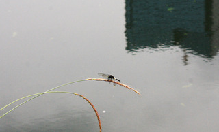 IMG_7676.jpg