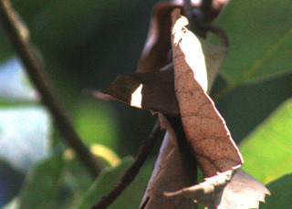 IMG_7706.jpg