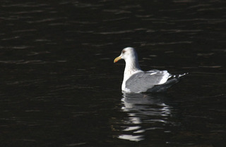 IMG_7734.jpg