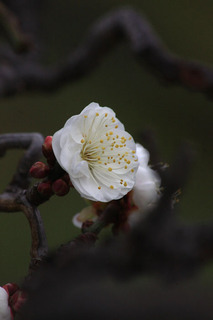 IMG_7994.jpg