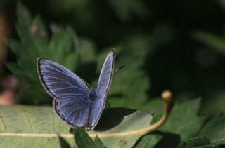 IMG_7999.jpg