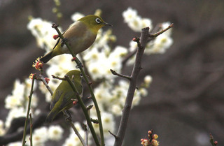 IMG_8262.jpg