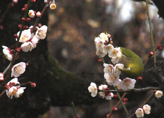 IMG_8278.jpg
