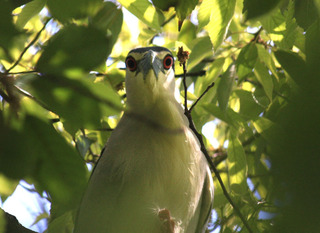 IMG_8318.jpg