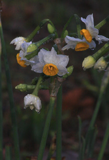IMG_8335.jpg
