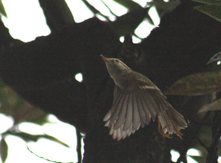 IMG_8344.jpg