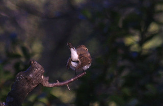 IMG_8440.jpg
