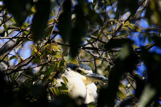 IMG_8480.jpg