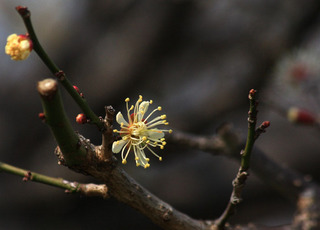 IMG_8539.jpg