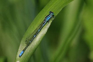 IMG_8565.jpg