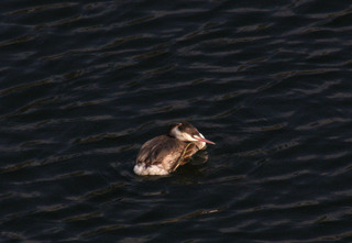 IMG_8675.jpg
