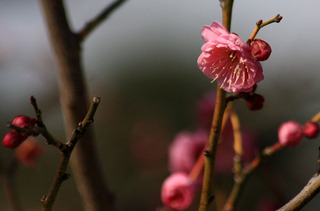 IMG_8689.jpg
