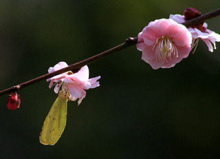 IMG_8740.jpg