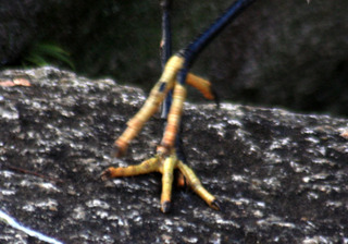 IMG_8763.jpg