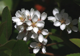 IMG_8814.jpg