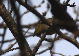 IMG_8904.jpg