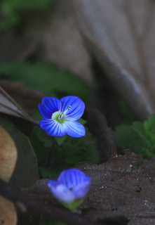 IMG_8911.jpg