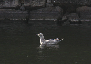 IMG_9005.jpg