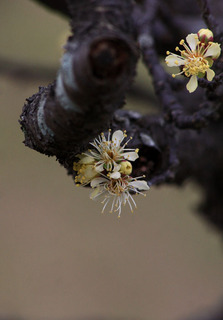 IMG_9026.jpg