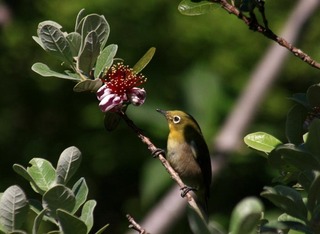 IMG_9142.jpg